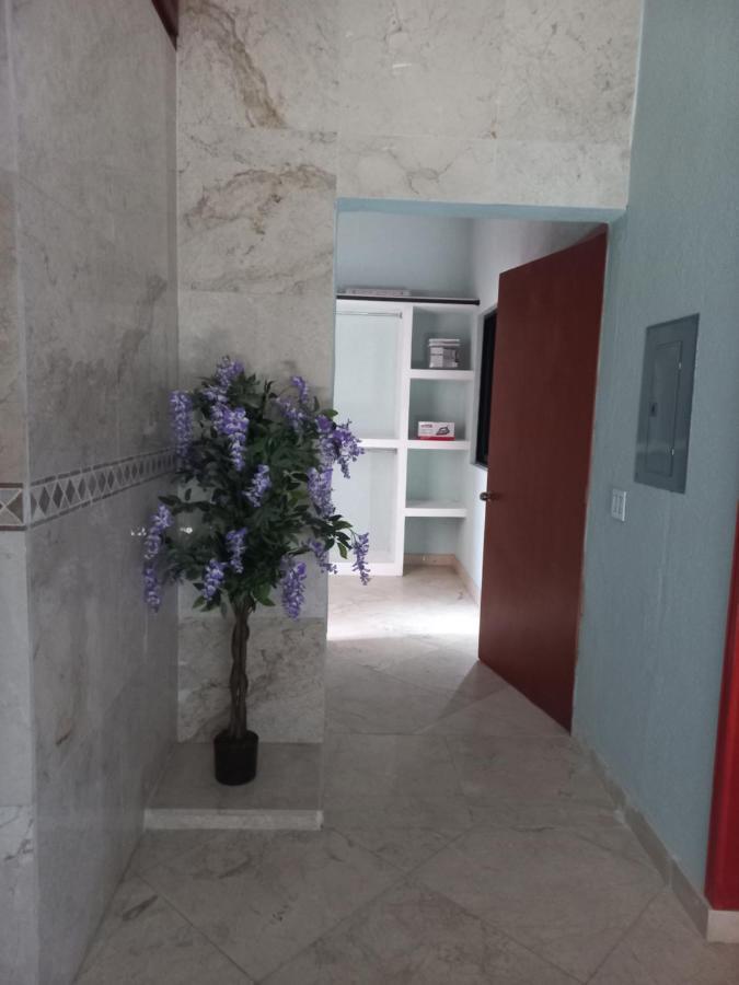 Departamento Tayde Apartamento San José del Cabo Exterior foto